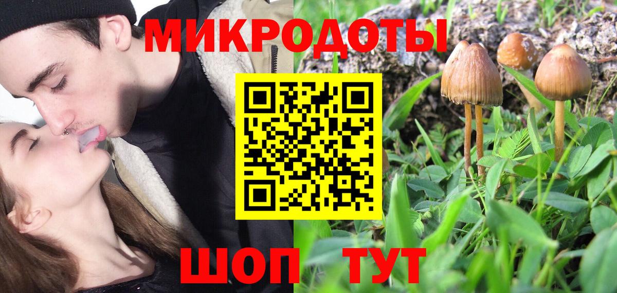 Менделеевск  Псилоцибиновые грибы мухоморы  Вход с VPN 
